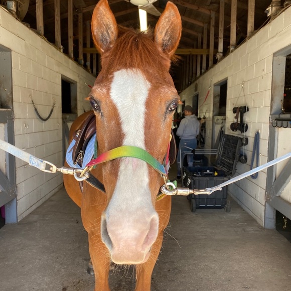 Meet your Posher, Jennifer - Picture 1 of 1